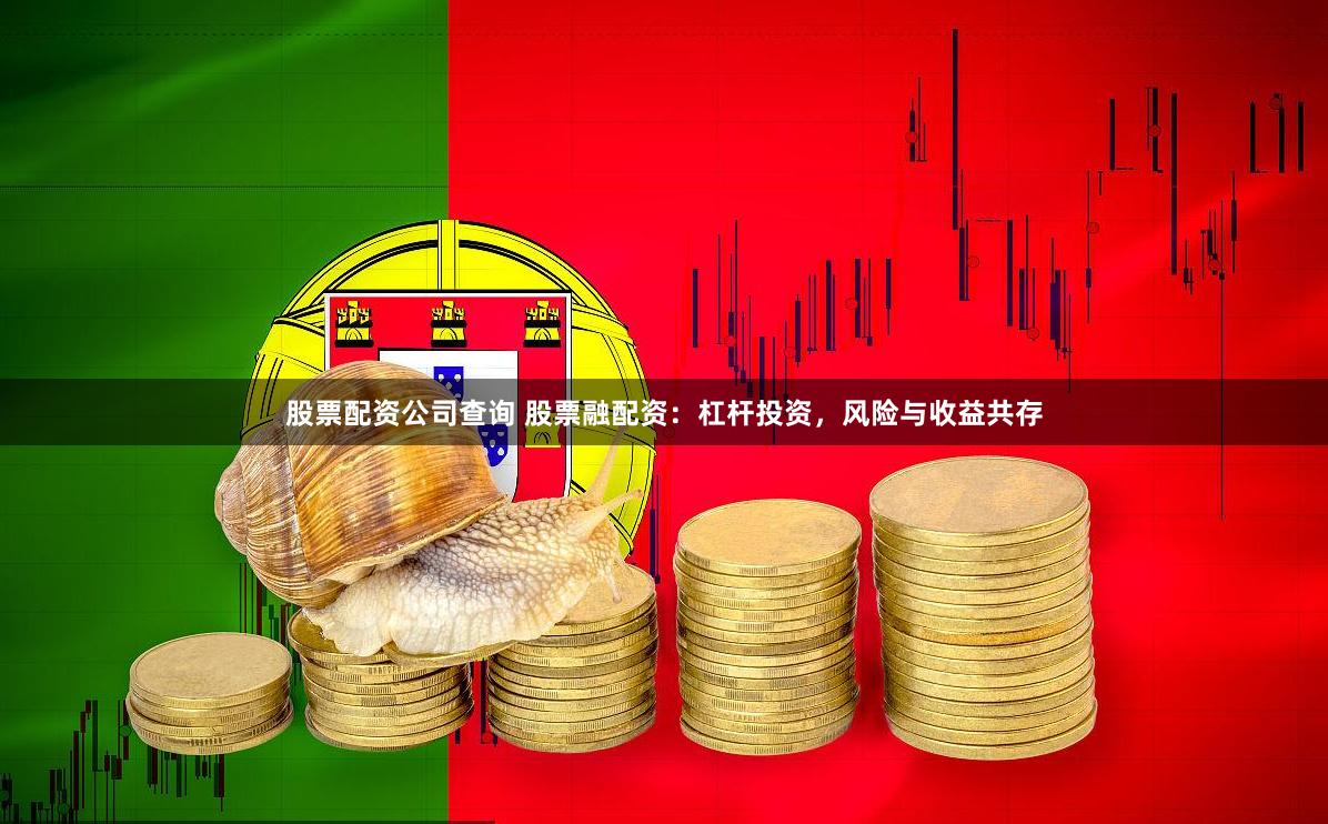 股票配资公司查询 股票融配资：杠杆投资，风险与收益共存