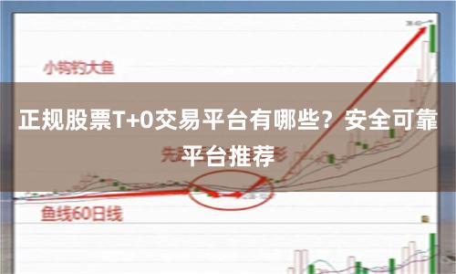 正规股票T+0交易平台有哪些？安全可靠平台推荐