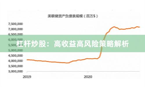杠杆炒股：高收益高风险策略解析
